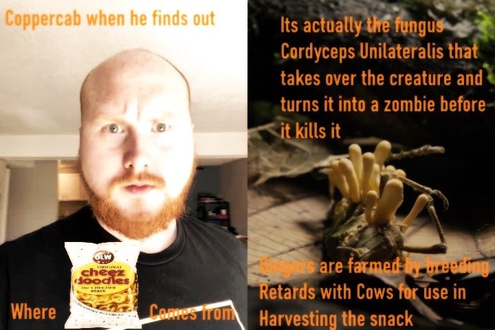 coppercab origins original