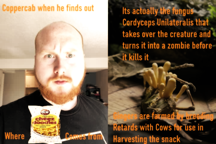 coppercab origins original