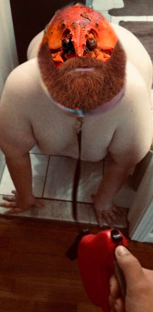 img 2659